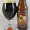 New Belgium 1554 Enlightened Black Ale on Random Best American Beers