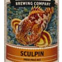 Ballast Point Sulpin IPA on Random Best American Beers