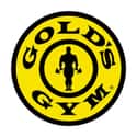 Golds Gym on Random Best Fitness Gear Brands