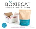 Boxiecat on Random Best Cat Litter Brands