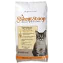Swheat on Random Best Cat Litter Brands