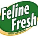 Feline Fresh on Random Best Cat Litter Brands