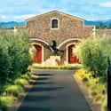 Black Stallion Winery on Random Best Wineries in Napa Valley