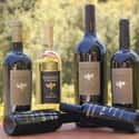Bravante Vineyards on Random Best Wineries in Napa Valley