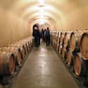 Hanzell Vineyards on Random Best Wineries in Sonoma Valley