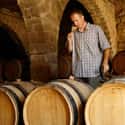 Domaine Saparale on Random Best Wineries in France