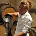 Richard Rottiers on Random Best Wineries in France
