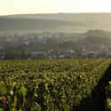 Champagne Fallet Dart on Random Best Wineries in France