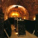 Castellroig on Random Best Wineries in Spain