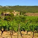 Can Feixes on Random Best Wineries in Spain