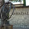 Abadal on Random Best Wineries in Spain