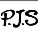 PJ Salvage on Random Best Pillow Brands