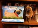 Port a Pug on Random Worst Gifts to Give Anyone, Anywhere, Anytime