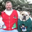 Modern Family on Random Awkwardly Hilarious Family Christmas Photos