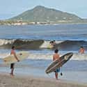 Castles Beach on Random Best Hawaiian Beaches for Surfing