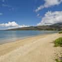 Banyans on Random Best Hawaiian Beaches for Surfing
