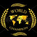 World Champion on Random Best Dart Brands