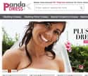 PandaDress.com on Random Best Plus Size Women's Clothing Websites