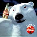 Coca-Cola Polar Bears on Random Most Memorable Advertising Mascots