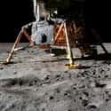 Moon Landing Was Faked on Random Conspiracy Theories You Believe Are True