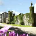 Ballyseede Castle on Random Most Beautiful Castles in Ireland