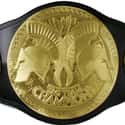 WWE Tag Team Championship on Random Ugliest Championship Belts and Trophies