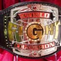 Hook-n-Shoot G Fight Rising Star on Random Ugliest Championship Belts and Trophies