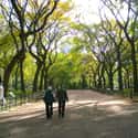 Taking a Stroll in the Park on Random Best First Date Ideas