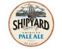 Shipyard Revisionist American Pale Ale on Random Best Keg Beers