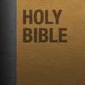 Holy Bible on Random Best Bible Apps