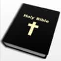 Bible + on Random Best Bible Apps