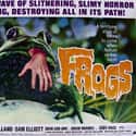 Frogs on Random Scariest Horror Movie Animals