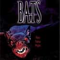 Bats on Random Scariest Horror Movie Animals