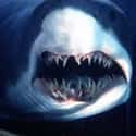 Mako Sharks on Random Scariest Horror Movie Animals