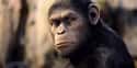 Ape on Random Scariest Horror Movie Animals