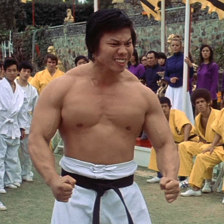 The Most Notorious Martial Arts Movie Villains