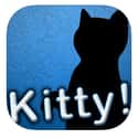 Kitty! Annoy Your Cat! on Random Funniest Apps For Your Smartphon