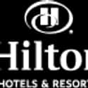 Hilton.com on Random Best Hotel Booking Websites