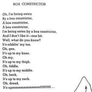 The Boa Constrictor