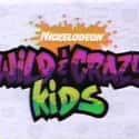 Wild and Crazy Kids on Random Best Nickelodeon Original Shows