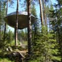 UFO Treehouse on Random Coolest Treehouses in the World