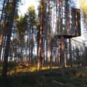 Mirror Treehouse on Random Coolest Treehouses in the World