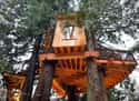 Bear Creek Treehouse on Random Coolest Treehouses in the World