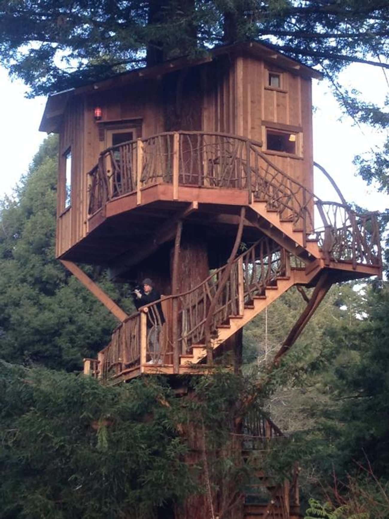 Arcata Redwood Treehouse