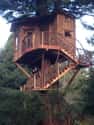 Arcata Redwood Treehouse on Random Coolest Treehouses in the World