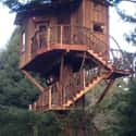 Arcata Redwood Treehouse on Random Coolest Treehouses in the World