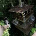 Community of Treehouses on Random Coolest Treehouses in the World