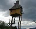 Tea House Too High on Random Coolest Treehouses in the World
