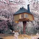 Treehouse Tetsu on Random Coolest Treehouses in the World