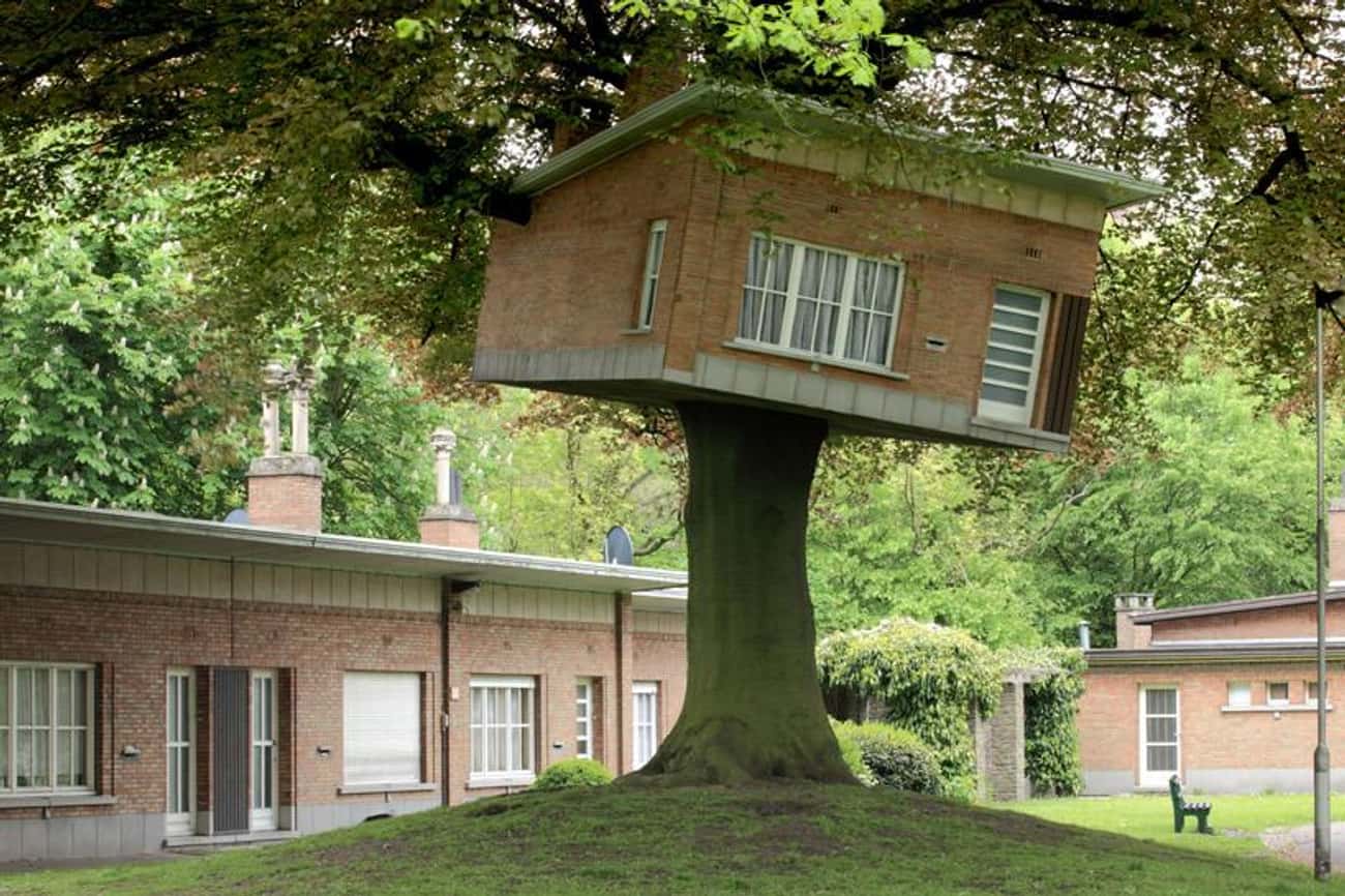 Дом дерево где находится. Дом на дереве. Необычный дом. Необычный дом на дереве. Интересные домики.